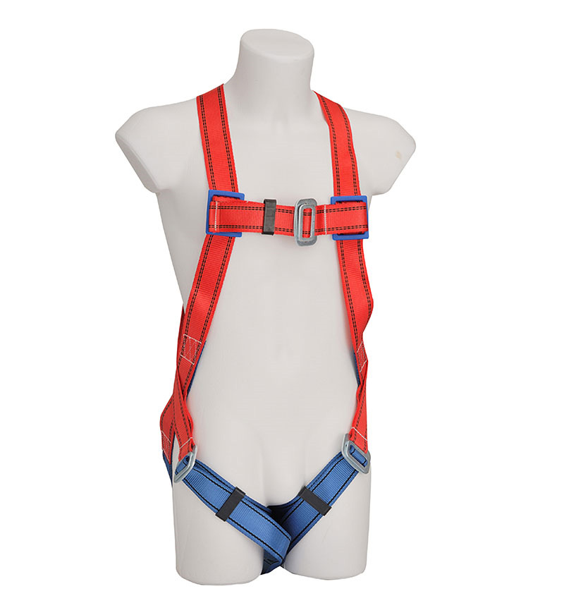 Safety Harness and Lanyard G909
